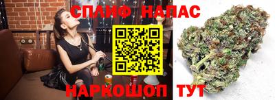 ECSTASY Кингисепп