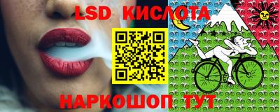 ECSTASY Кингисепп